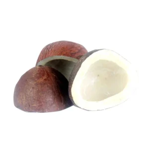 Dry Coconut
